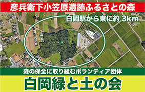 【白岡市】白岡緑と土の会｜森の保全に取り組むボランティア団体